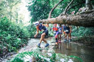 BIB: 
                            <button type="button" onclick="openModal(25443812)" class="btn btn-primary btn-sm float-right btn-popup" data-toggle="modal" data-target=".modal-high-quality">
                        <i class="fas fa-shopping-cart"></i> Add to Cart
                    </button>
                                            <button type="button" onclick="isThisMe(25443812, true)" class="btn btn-success btn-sm float-right btn-popup btn-isme hidden" data-toggle="tooltip" data-placement="bottom" title="นี่คือรูปของคุณใช่ไหม คลิกที่นี่เพื่อเอาเข้าอัลบั้ม">
                        <i class="fas fa-plus"></i> Add to album
                    </button>
                    <button type="button" onclick="isThisMe(25443812, false)" class="btn btn-warning btn-sm float-right btn-popup btn-isnotme hidden">
                        <i class="fas fa-ban"></i> Remove from album
                    </button>